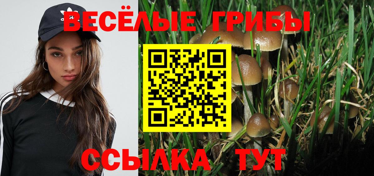 Галлюциногенные грибы Cubensis Саров