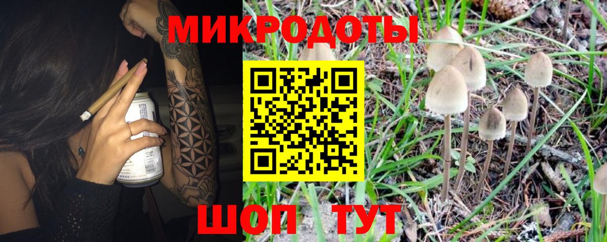 Саров  Псилоцибиновые грибы Psilocybe  Вход с VPN 